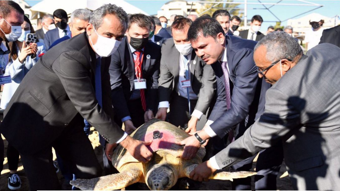 MINISTER ÖZER AND MINISTER KURUM RELEASE CARETTA CARETTAS BACK TO THE SEA